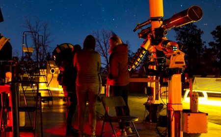 This City’s Best Winter Show Is in Its Pitch-Dark Skies