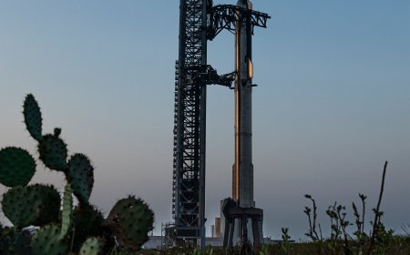 Trump May Give SpaceX Some Land In A Texas Wildlife Refuge