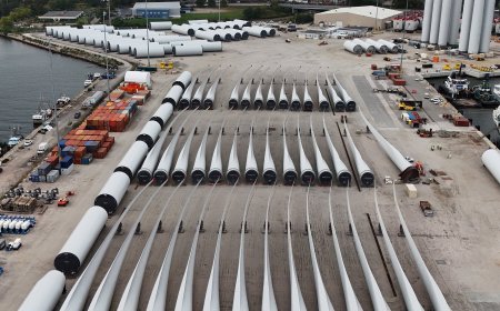 Trump Halts 5 Wind Farms Off the East Coast