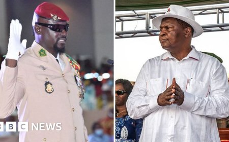 One general, one mathematician: The men competing for power in two African elections