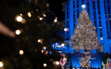 Our Elites Are Insane