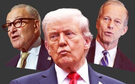 Republicans Will Need Democrats’ Help to Fund the Government Again In Early 2026