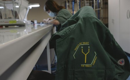 How reality crushed Ÿnsect, the French startup that had raised over $600M for insect farming