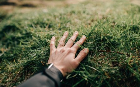 Naware’s chemical-free weed killer tech could change how we treat lawns