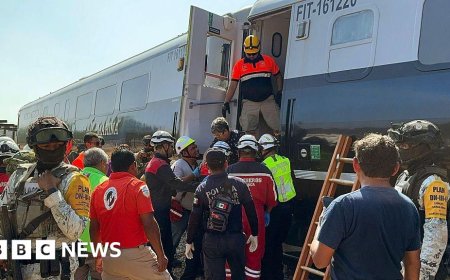 Mexico train crash kills 13 and injures almost 100