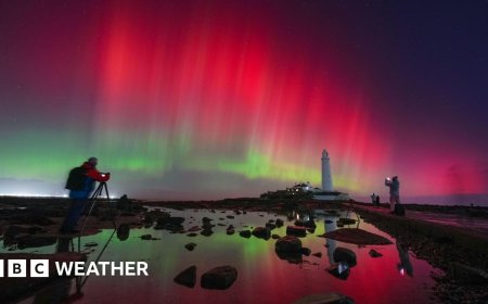Why 2026 looks bright for Northern Light sightings