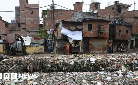 Toxic air, broken roads and unpicked rubbish - why India's big cities are becoming unliveable