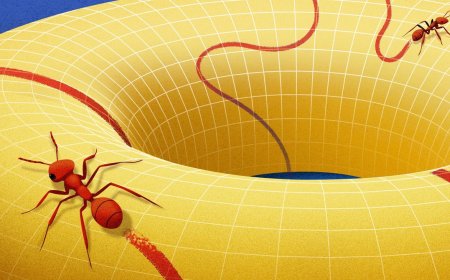 Behold the Manifold, the Concept that Changed How Mathematicians View Space