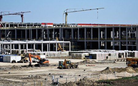 The Environmental and Human Rights Costs of China’s Clean Energy Investments Abroad