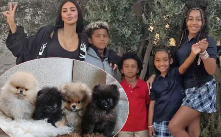 Fans SLAM Kim Kardashian For Getting FOUR New Puppies For Christmas -- One For ‘Each Kid’