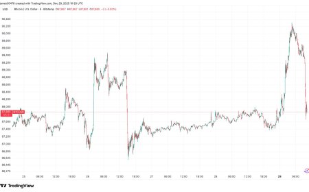 Bitcoin reverses early gains, drops below $88,000 as Nasdaq futures wilt