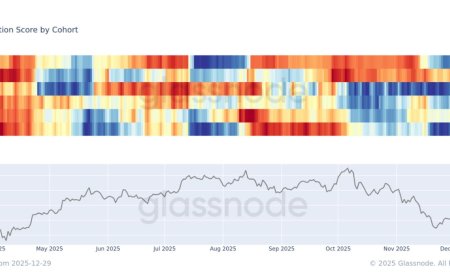 Bitcoin whales have been the main accumulators in the $80,000 range