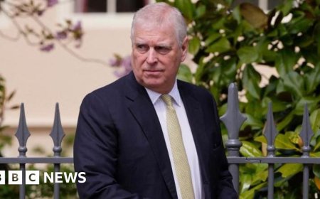 Cabinet Office withdraws Andrew papers after 'error'