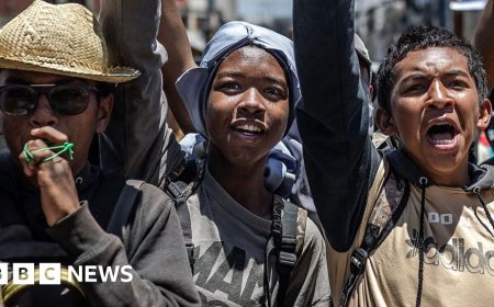 Coups, elections and protests - a difficult year for democracy in Africa