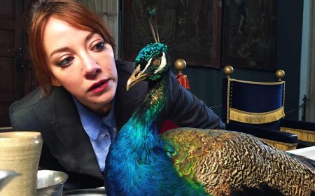 Cunk explores the traditions and trappings of Christmas