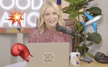 Amy Poehler Remembers WILD Plane Fight That Brought Out Boston Roots -- In Front Of A Baby!