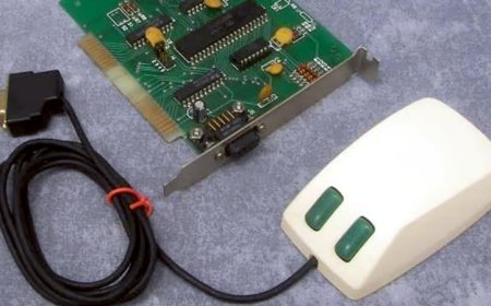 The Confusing World Of Bus Mice