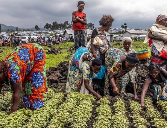 Why are over 670 million people going hungry?