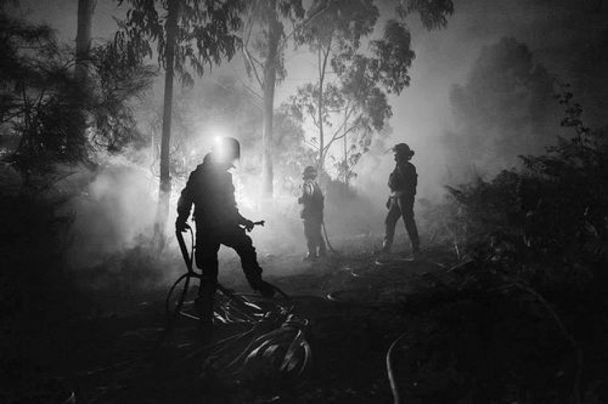 2025 will be the second hottest year on record, and it may exceed several climate tipping points in the future