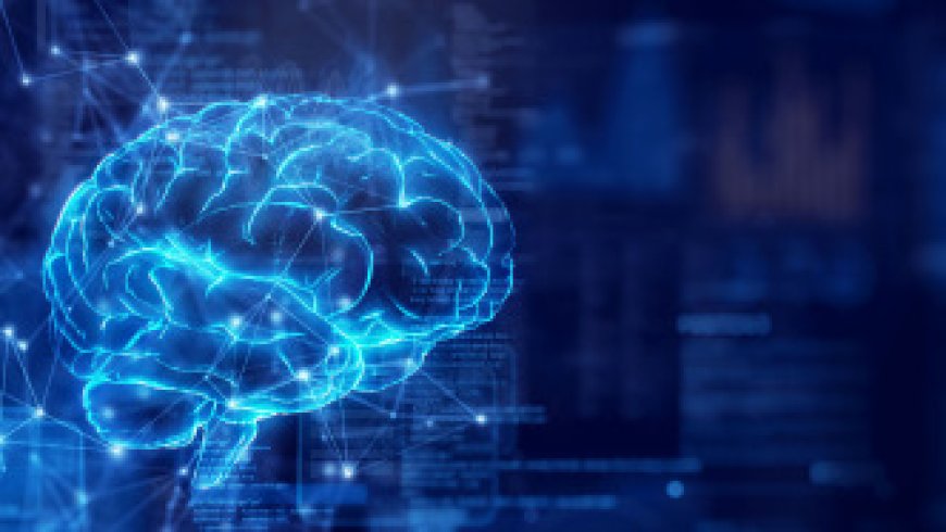 Organoid research reveals: the brain is born with a preset "operating system"