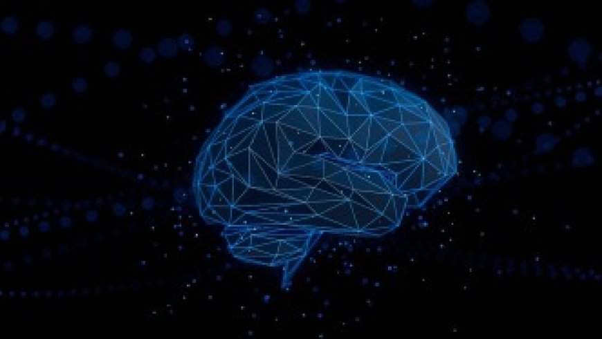 There may be 4 major "inflection points" in the human brain