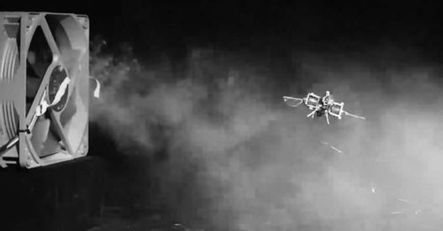 Insect-grade micro flying robots are introduced