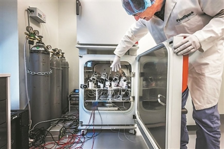 Biological computing moves forward in controversy