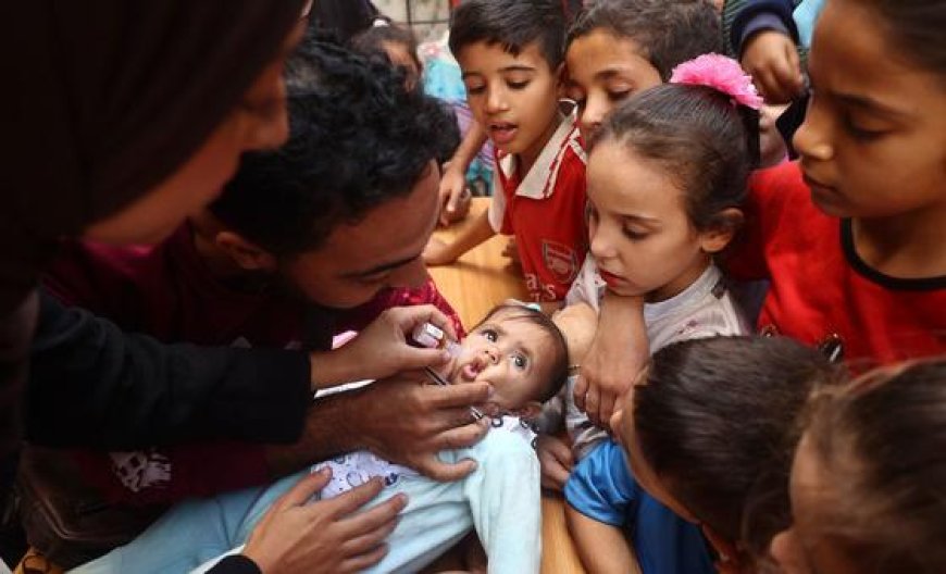 Catch-up immunisation campaign ‘a lifeline’ for Gaza’s children