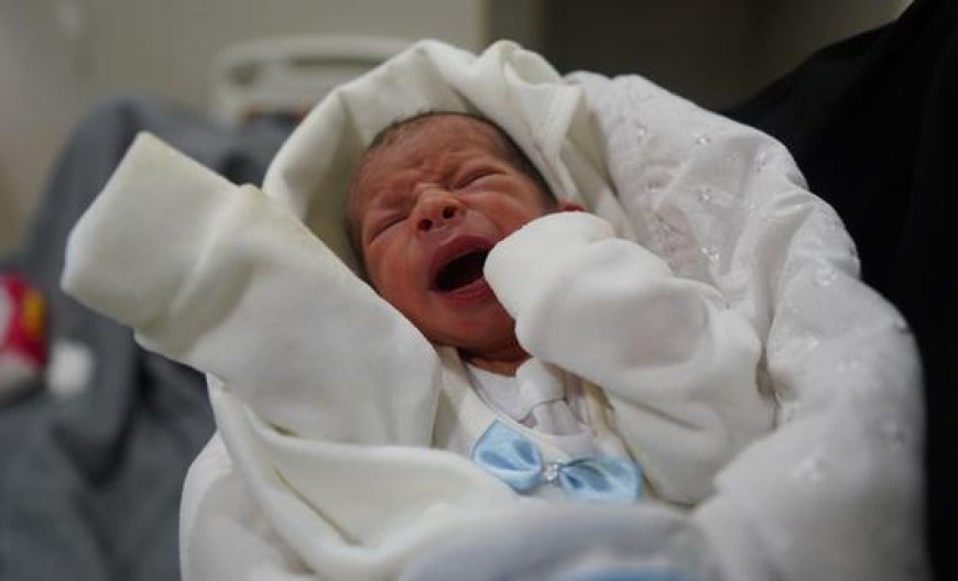 Gaza’s babies ‘scarred by war before first breath’ by malnutrition