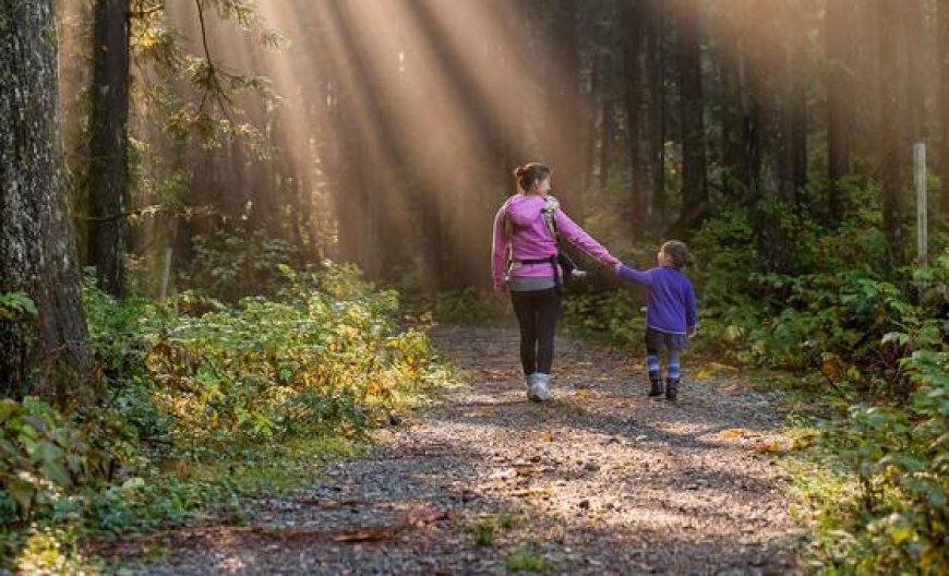 What do singing and hiking have to do with human rights?
