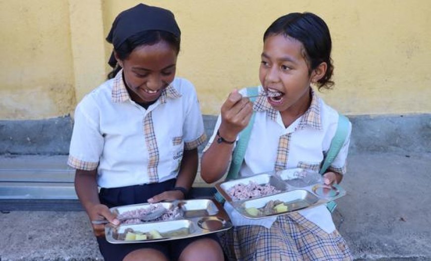 From farm to classroom: Feeding children and supporting farmers in Timor-Leste