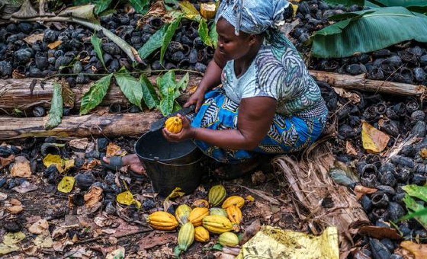 $31 trillion debt is holding back developing countries, UN trade summit hears