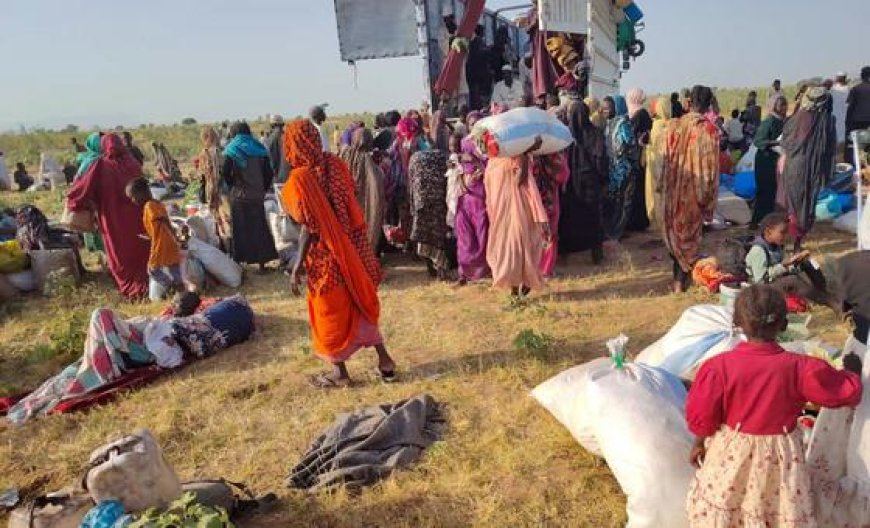 Sudan: 89,000 civilians have fled El Fasher
