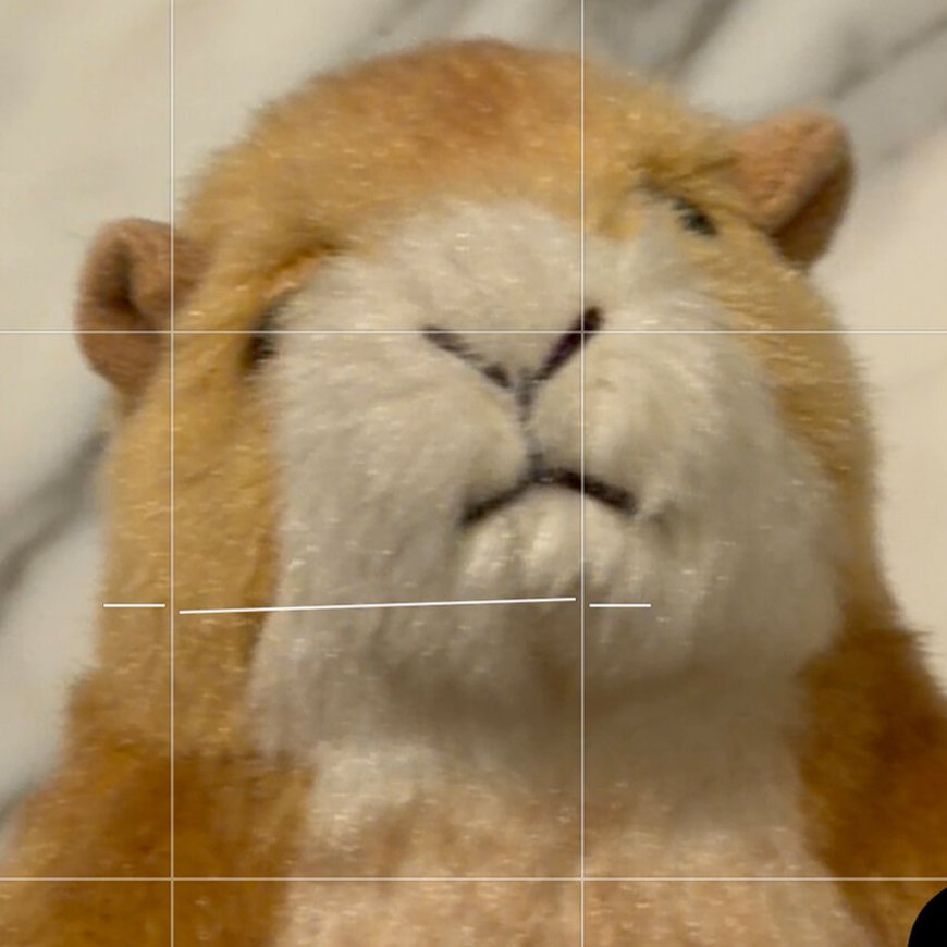 Take Command of Your Powerful New Smartphone Camera