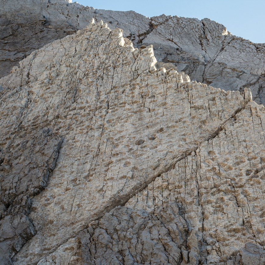 More Than 2,000 Dinosaur Footprints Are Found in the Italian Alps