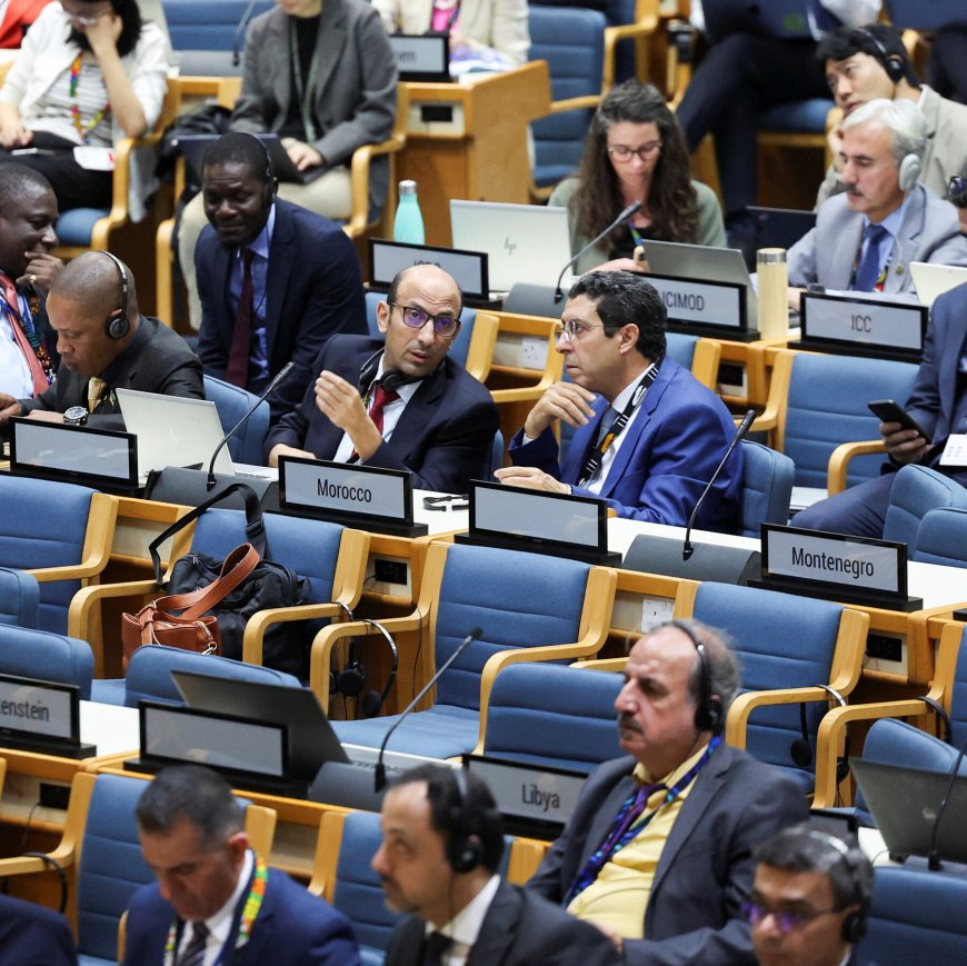 U.S. Helped to Weaken Report at U.N. Environment Talks, Participants Say