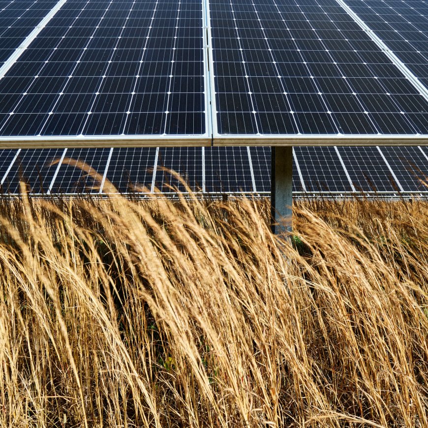 This Arkansas City Shows How to Slash Emissions and Save Money, Too