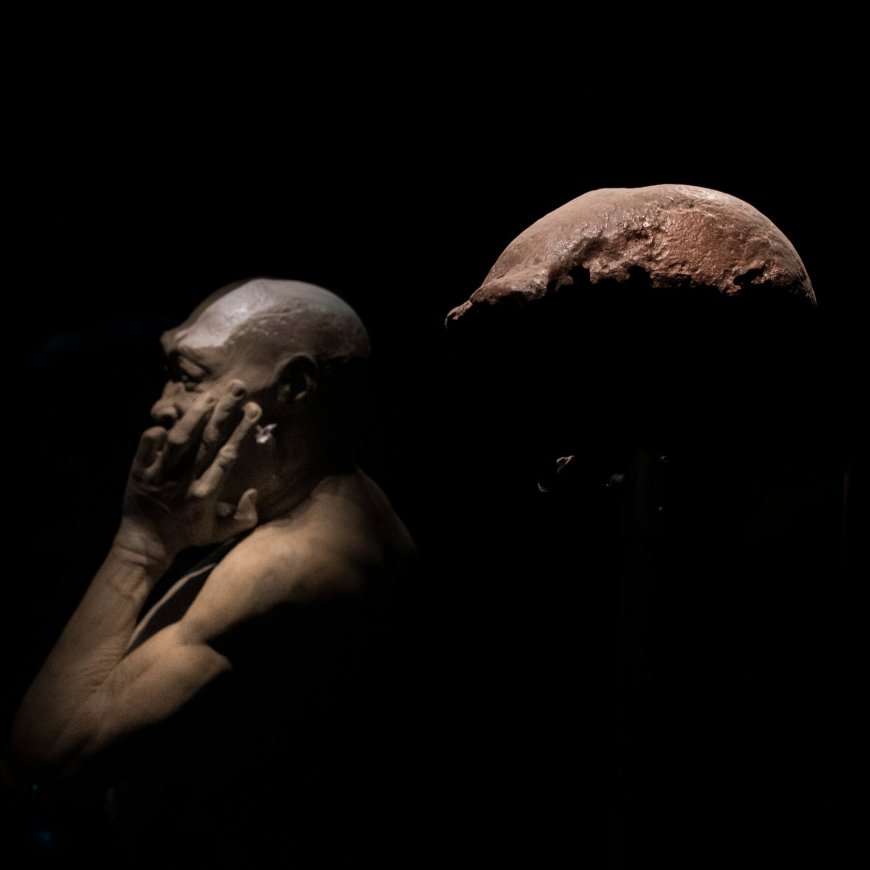 Dutch Return ‘Java Man’ Bones, With 40,000 Fossils Set to Follow