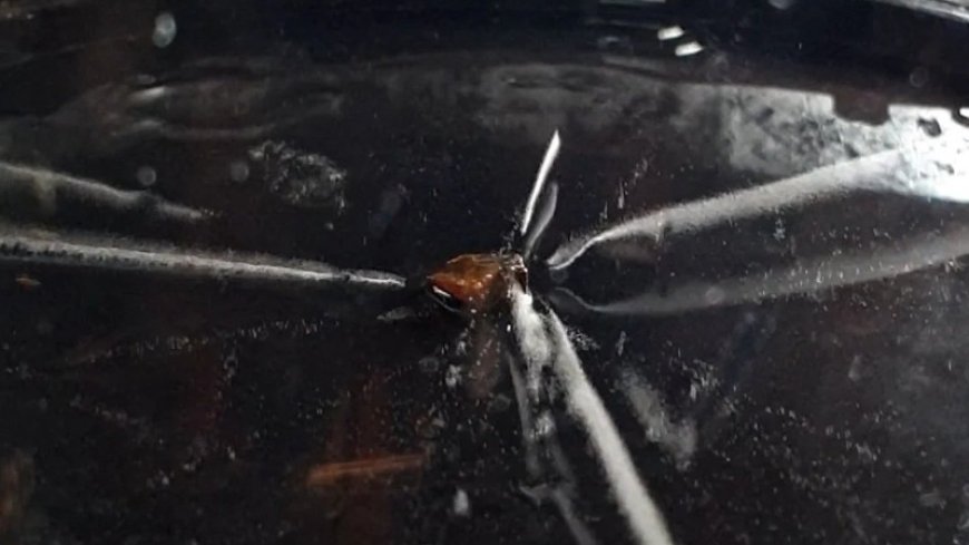 Improving the Cloud Chamber