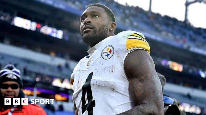 Steelers' Metcalf appears to punch fan during game