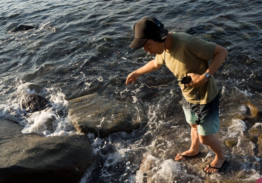 The Music of the Sea