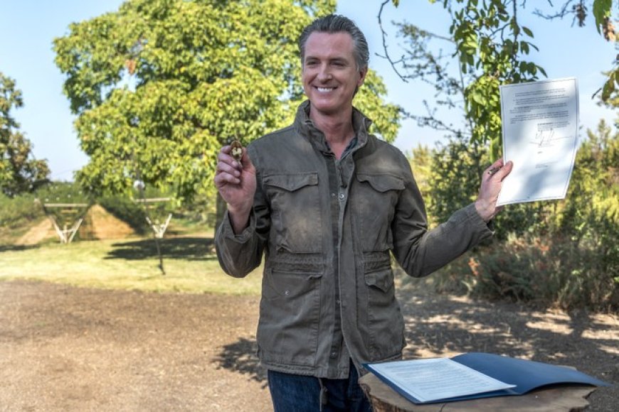 Newsom Loses More CA Business and Wants to Take Away the Farm