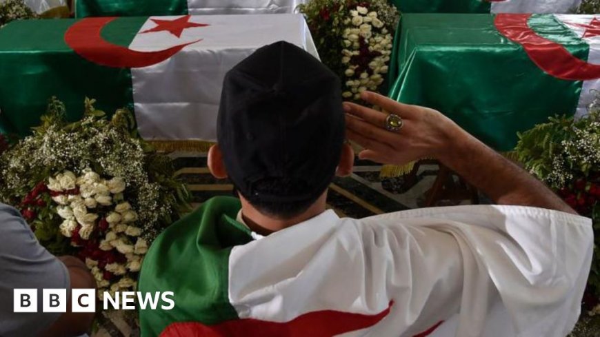 Algeria votes to declare French colonisation a crime and demand reparations