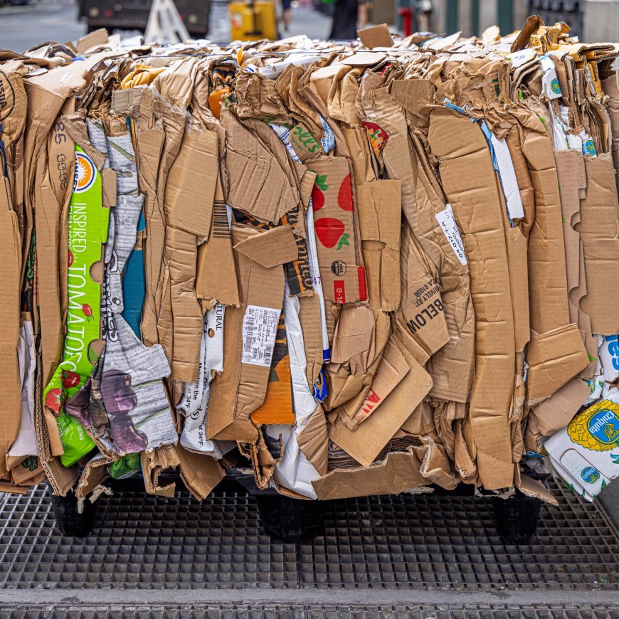 Who Recycles the Most Cardboard in N.Y.C.?