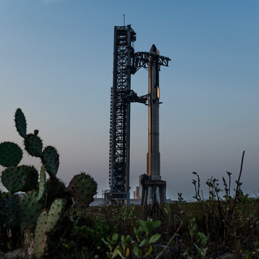 Trump May Give SpaceX Some Land In A Texas Wildlife Refuge