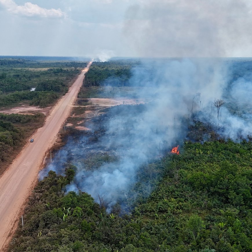 How Blocking Illegal ‘Ghost’ Roads Could Protect Tropical Forests