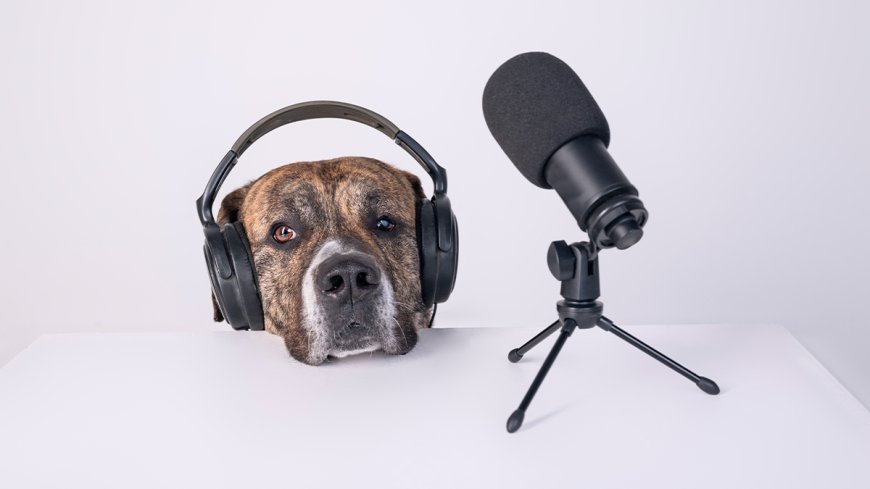 The Most Popular HBR Podcast Episodes of 2025