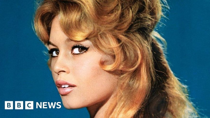 French cinema actress Brigitte Bardot dies aged 91