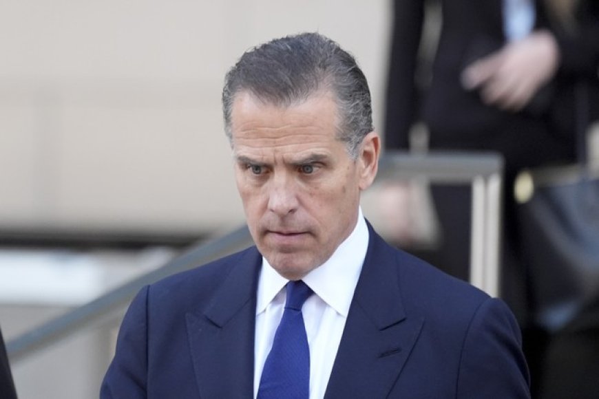 Too Fun to Check: Has Hunter Gone MAGA?