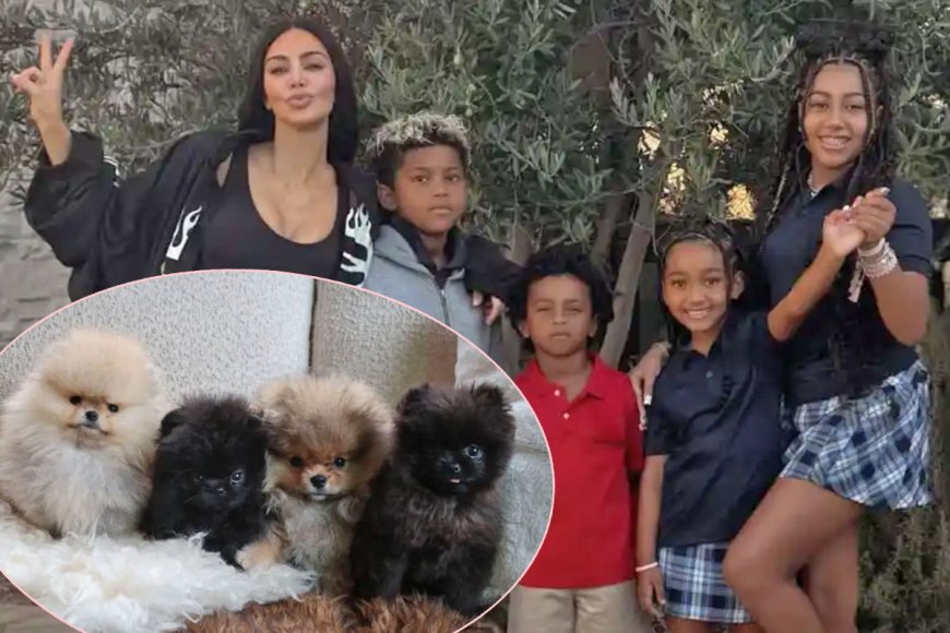 Fans SLAM Kim Kardashian For Getting FOUR New Puppies For Christmas -- One For ‘Each Kid’